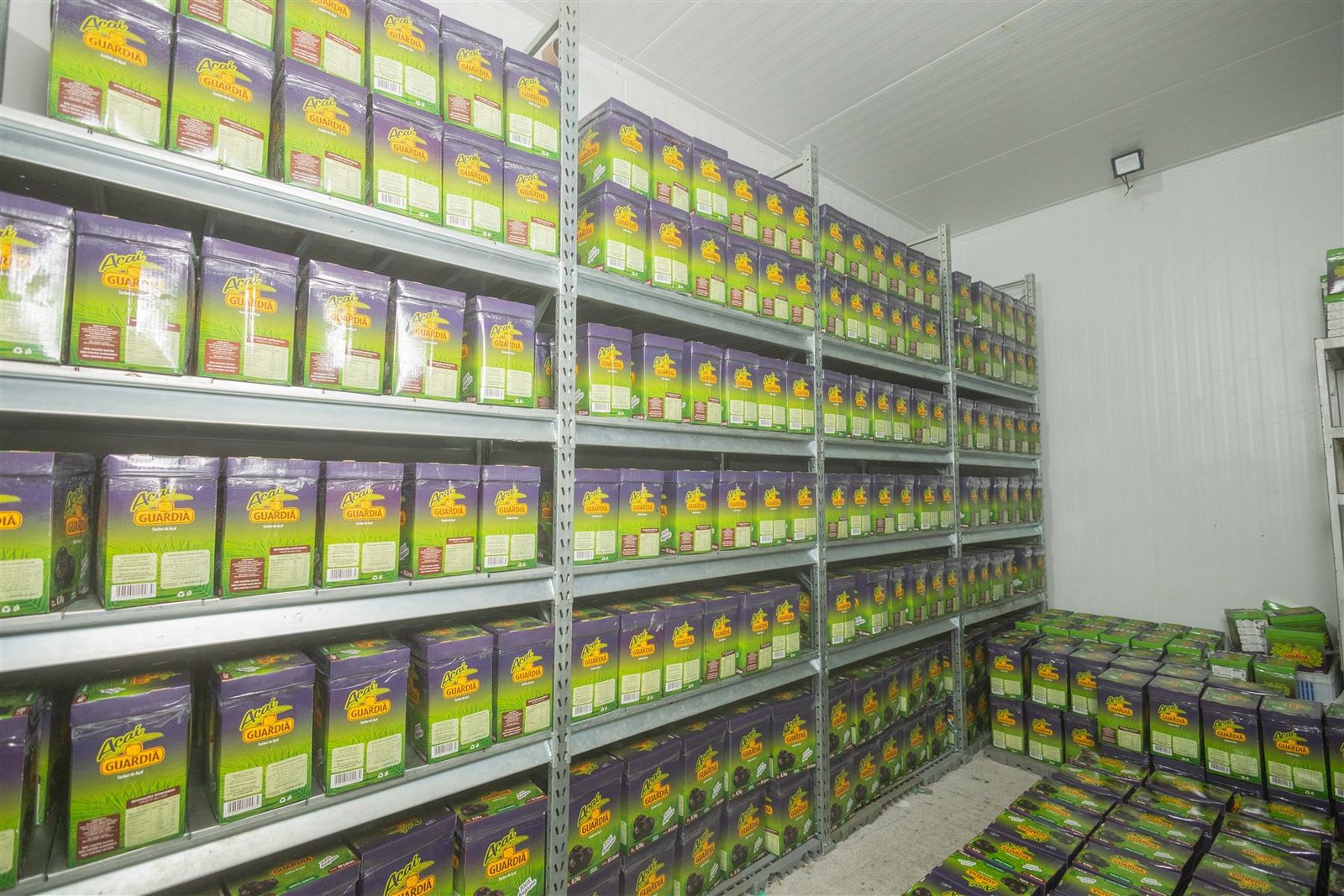Equipe Açaí Guardiã